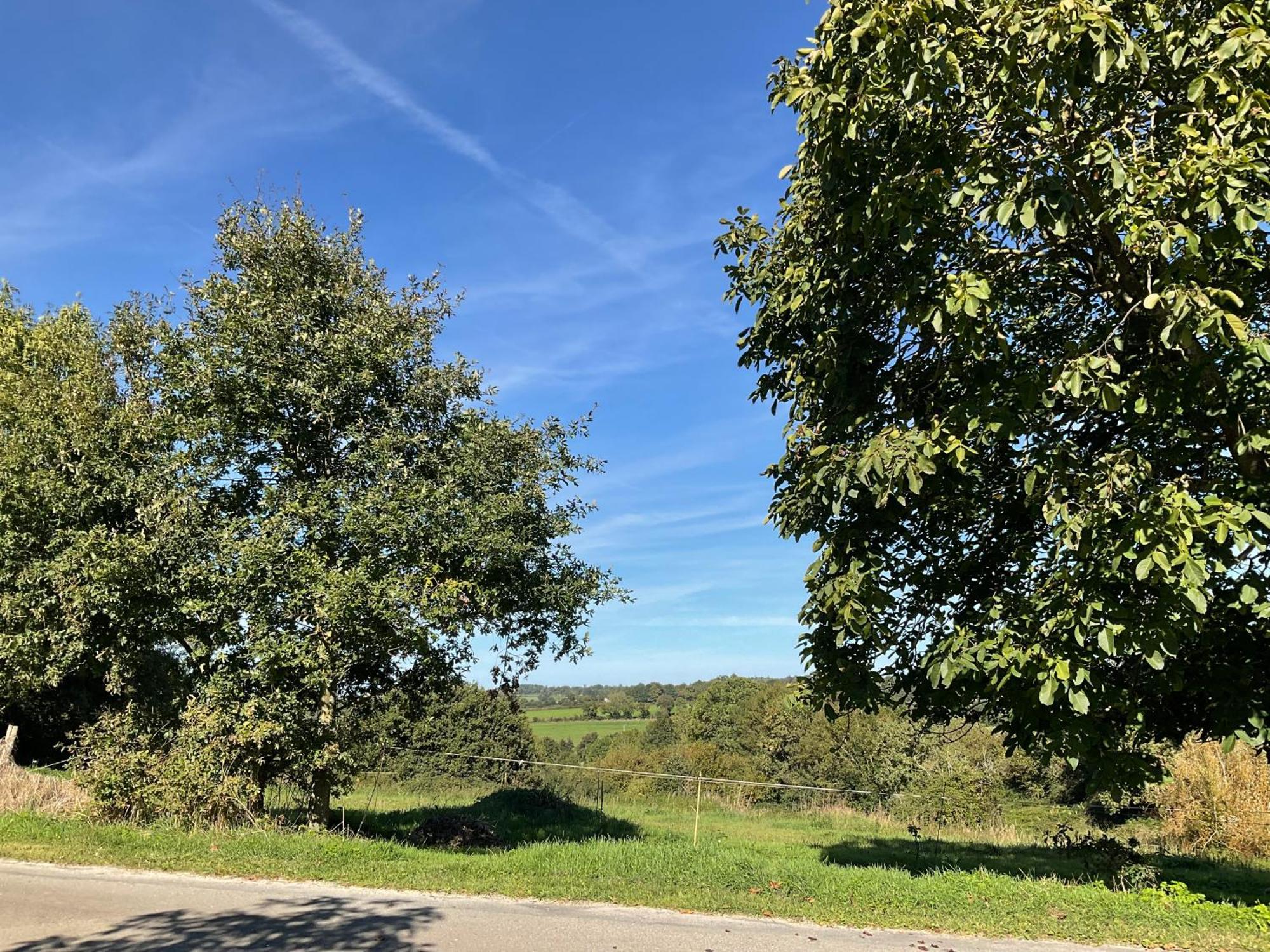 La Brionniere Bed & Breakfast Saint-Pierre-du-Chemin ภายนอก รูปภาพ