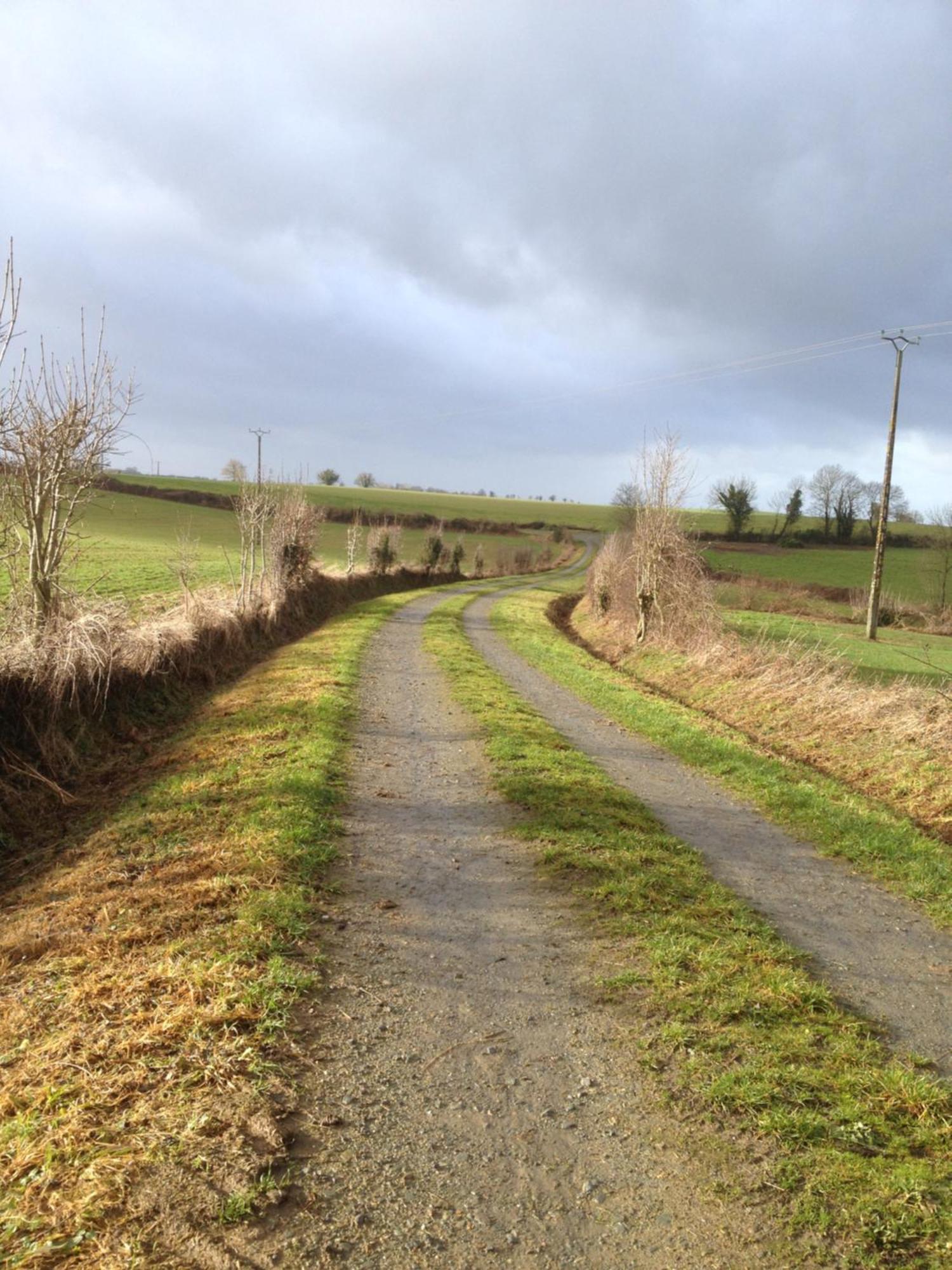 La Brionniere Bed & Breakfast Saint-Pierre-du-Chemin ภายนอก รูปภาพ
